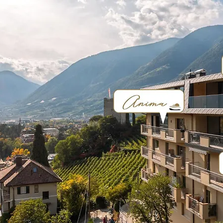 Levita Living Freiheit *